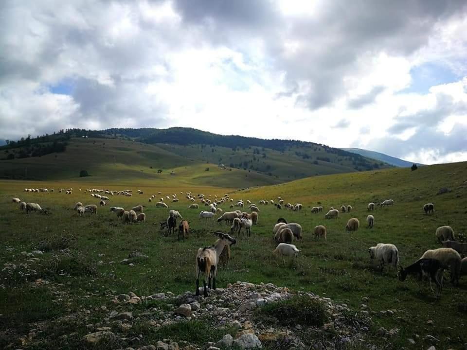Natura As Gornji Lukomir 外观 照片